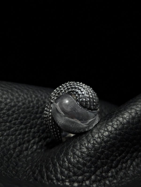 Yin-Yang